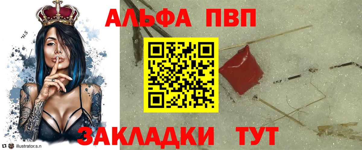 А ПВП крисы CK Саранск