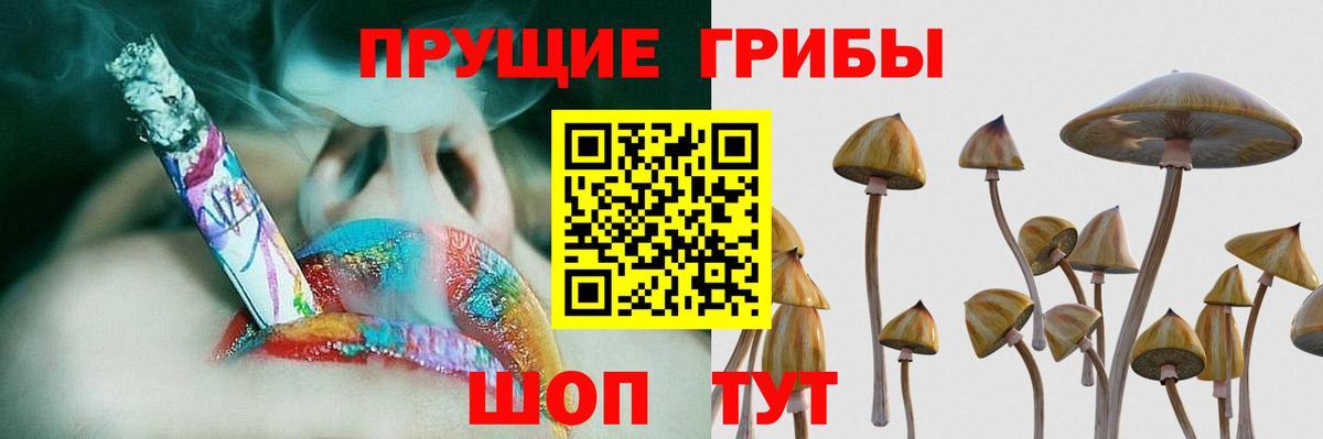 как найти закладки  Вход с VPN  Саранск  Галлюциногенные грибы прущие грибы 